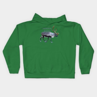 Nollaig Shona Kids Hoodie